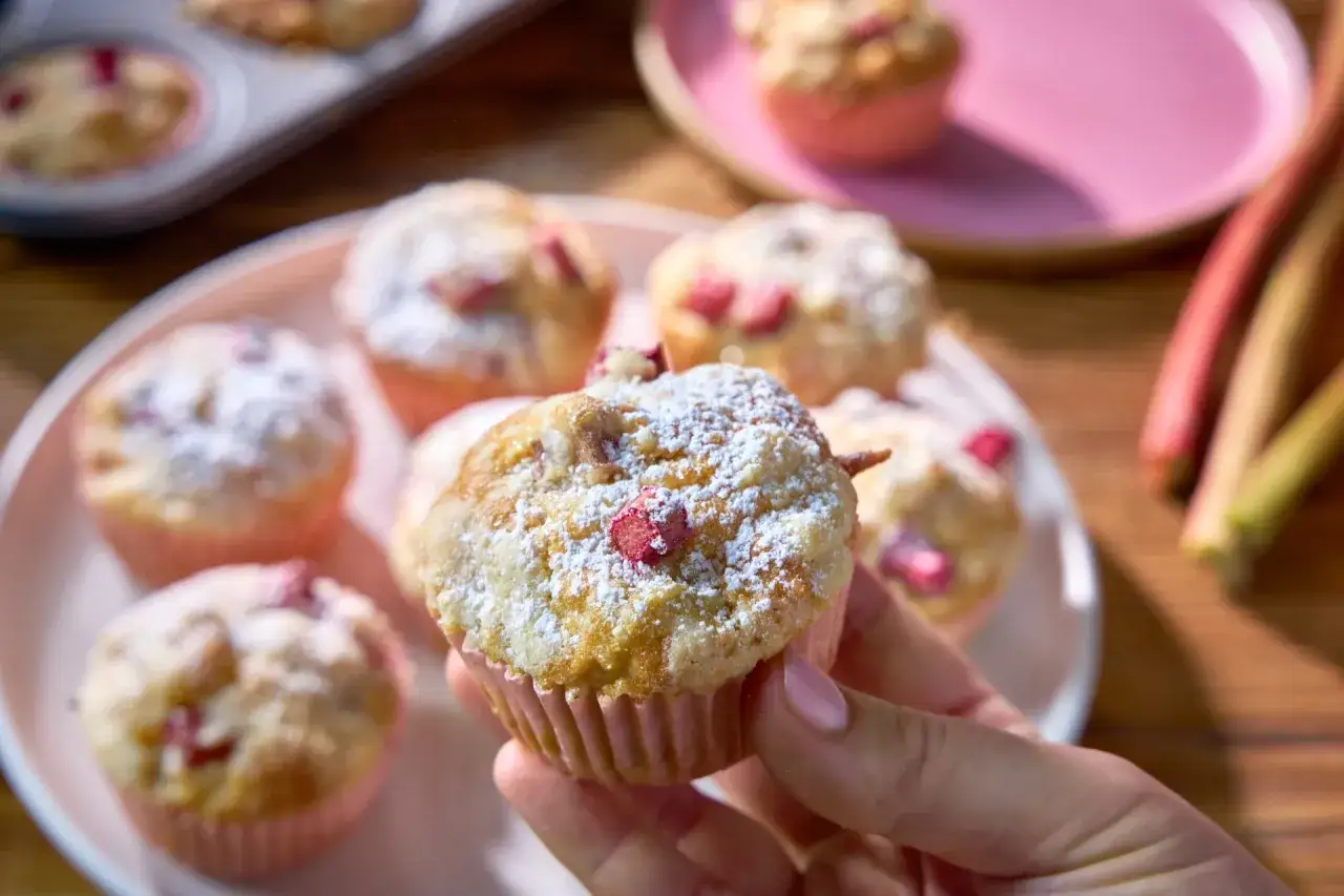 Pyszne muffinki z rabarbarem, posypane cukrem pudrem, czekają na spróbowanie. W tle widać świeże łodygi rabarbaru.
